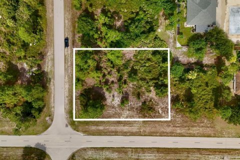 Land in Lehigh Acres, Florida № 2221238