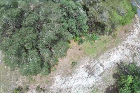 Land in Crystal River, Florida № 2218804 - photo 11