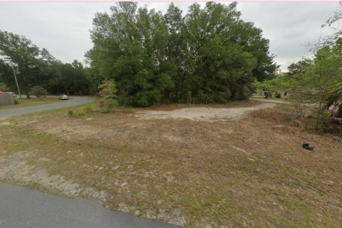 Land in Crystal River, Florida № 2218804 - photo 2