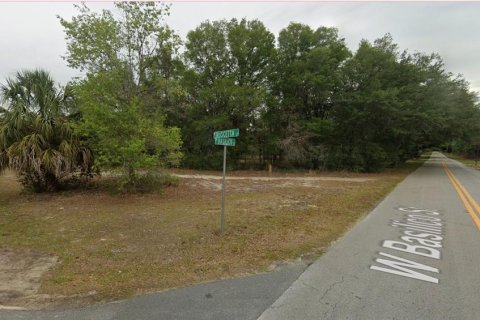 Land in Crystal River, Florida № 2218804 - photo 7