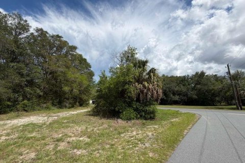 Land in Crystal River, Florida № 2218804 - photo 13
