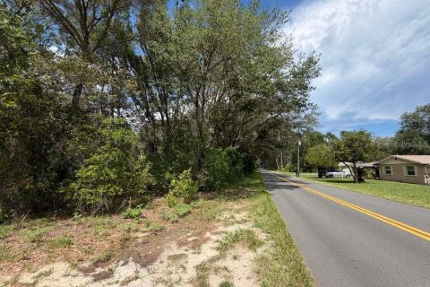 Land in Crystal River, Florida № 2218804 - photo 15