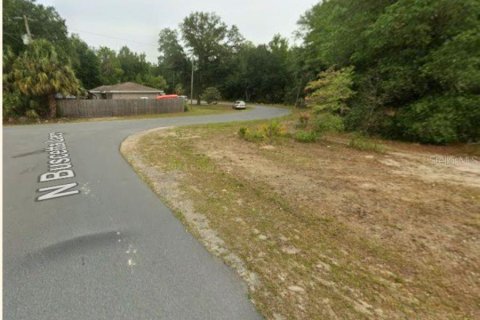 Land in Crystal River, Florida № 2218804 - photo 22