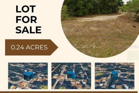 Land in Crystal River, Florida № 2218804