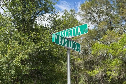 Land in Crystal River, Florida № 2218804 - photo 6
