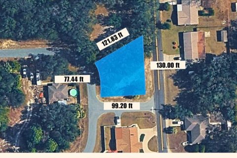 Land in Crystal River, Florida № 2218804 - photo 4