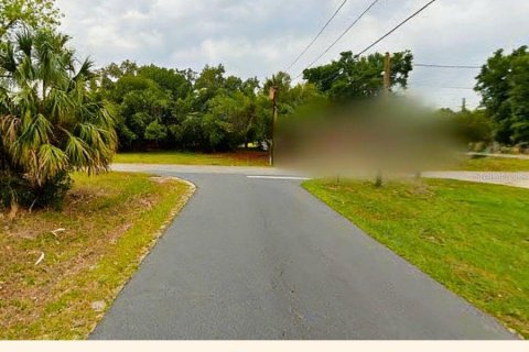 Land in Crystal River, Florida № 2218804 - photo 18