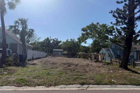 Land in Saint Petersburg, Florida № 1625748 - photo 4