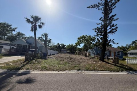 Land in Saint Petersburg, Florida № 1625748 - photo 2