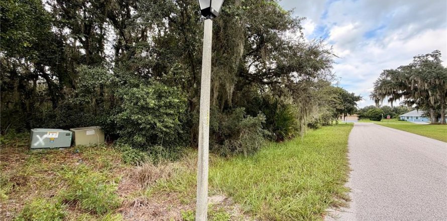 Terrain à Sebring, Floride № 2201530