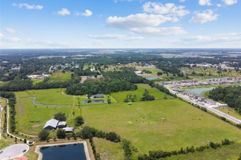 Land in Parrish, Florida № 1685172 - photo 13