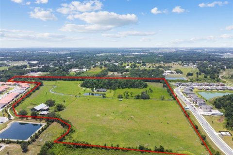 Land in Parrish, Florida № 1685172 - photo 6