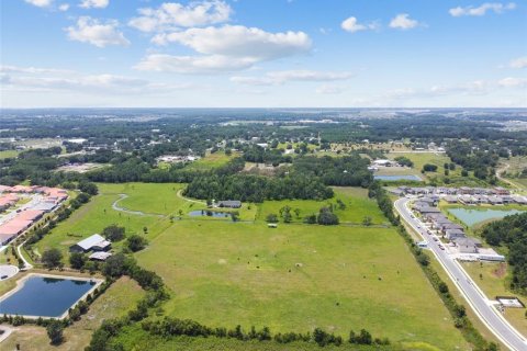 Land in Parrish, Florida № 1685172 - photo 10