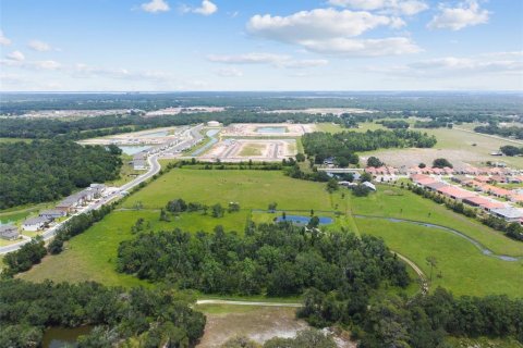 Land in Parrish, Florida № 1685172 - photo 17