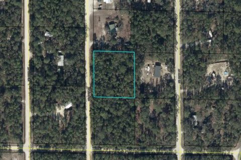 Land in Old Town, Florida № 2258442 - photo 2