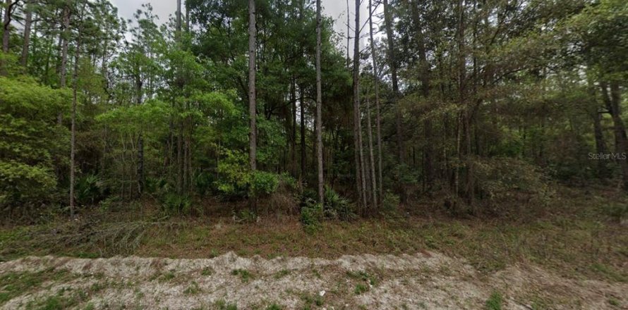 Land in Old Town, Florida № 2258442