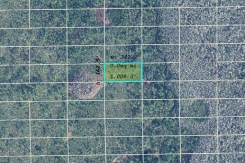 Купить земельный участок в Орландо, Флорида № 2165567 - фото 3