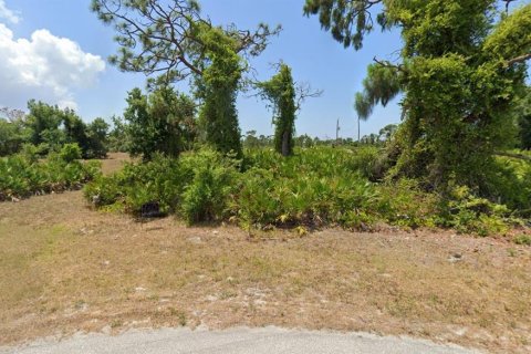 Land in Placida, Florida № 2208637