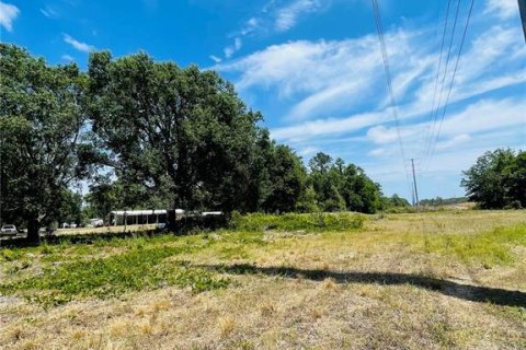 Terreno en venta en Zephyrhills, Florida № 1552375 - foto 4