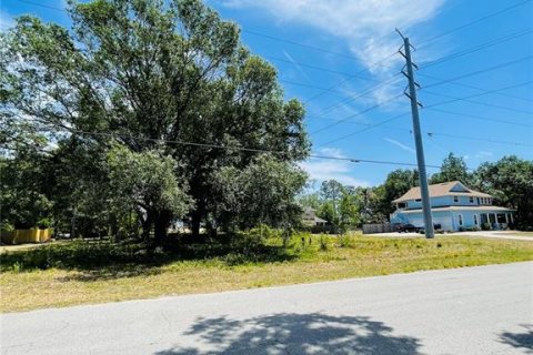 Terreno en venta en Zephyrhills, Florida № 1552375 - foto 20
