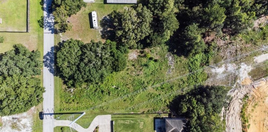 Terreno en Zephyrhills, Florida № 1552375