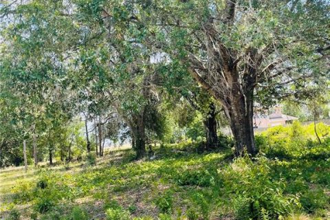Terreno en venta en Zephyrhills, Florida № 1552375 - foto 16