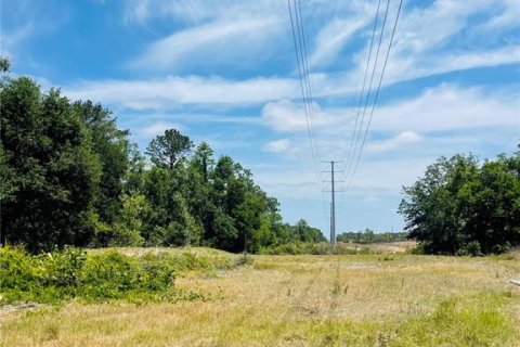 Terreno en venta en Zephyrhills, Florida № 1552375 - foto 2
