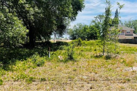 Terreno en venta en Zephyrhills, Florida № 1552375 - foto 13