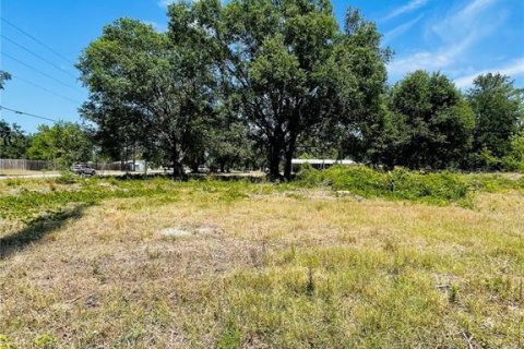 Terreno en venta en Zephyrhills, Florida № 1552375 - foto 17
