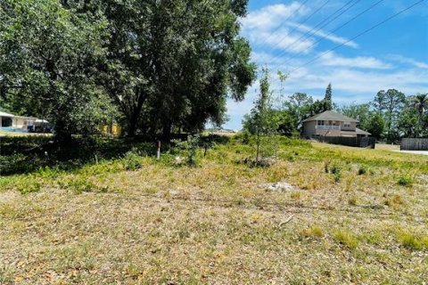 Terreno en venta en Zephyrhills, Florida № 1552375 - foto 11