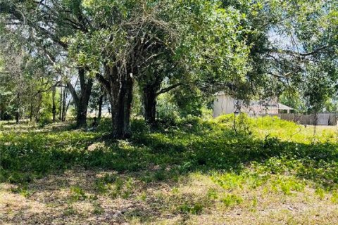 Terreno en venta en Zephyrhills, Florida № 1552375 - foto 14