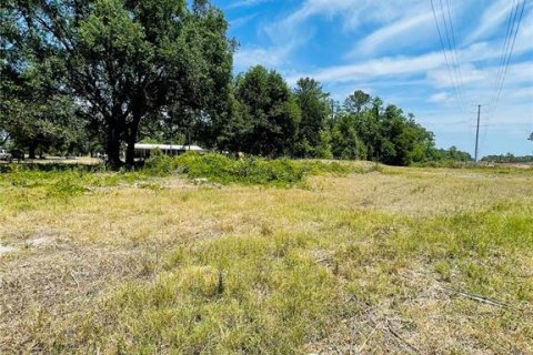 Terreno en venta en Zephyrhills, Florida № 1552375 - foto 10