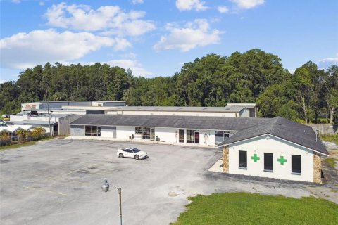 Terreno en venta en Lutz, Florida № 1816109 - foto 20