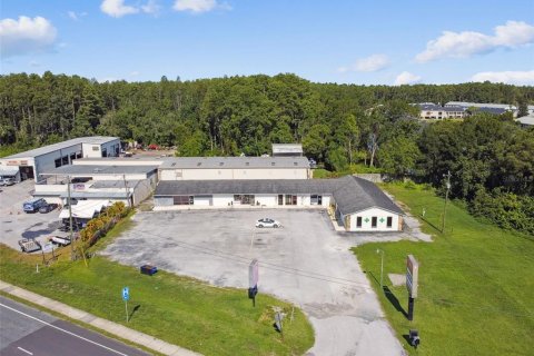 Terreno en venta en Lutz, Florida № 1816109 - foto 16