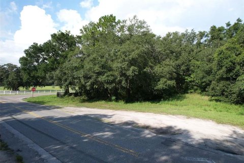 Terrain à vendre à Dunnellon, Floride № 2145122 - photo 2