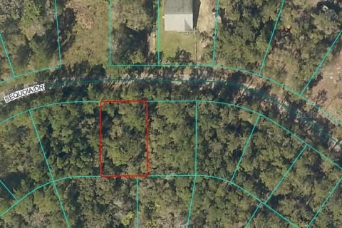Terreno en Ocklawaha, Florida № 2165585