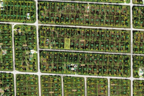 Land in Punta Gorda, Florida № 2158153