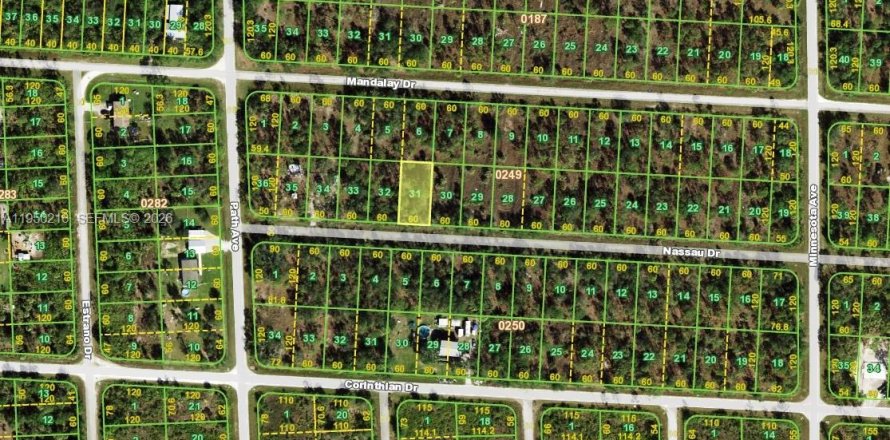 Land in Punta Gorda, Florida № 2158153
