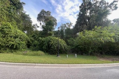 Terreno en venta en Ocala, Florida № 1913953 - foto 4