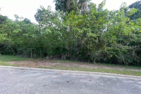 Terreno en venta en Ocala, Florida № 1913953 - foto 5