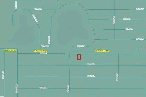 Land in Ocklawaha, Florida № 2162894 - photo 3