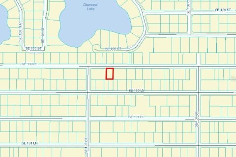 Land in Ocklawaha, Florida № 2162894