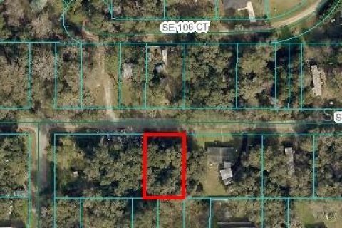 Land in Ocklawaha, Florida № 2162894 - photo 2