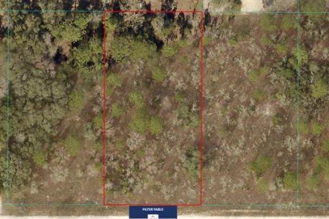Terreno en venta en Ocala, Florida № 2218465 - foto 3