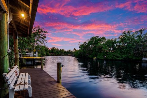 House in Riverview, Florida 6 bedrooms, 492.2 sq.m. № 2127895