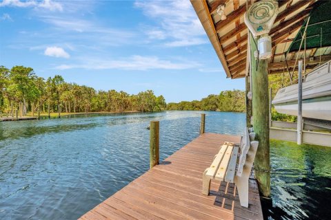 House in Riverview, Florida 6 bedrooms, 492.2 sq.m. № 2127895 - photo 4