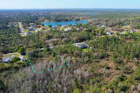Land in Orlando, Florida № 1518697 - photo 4