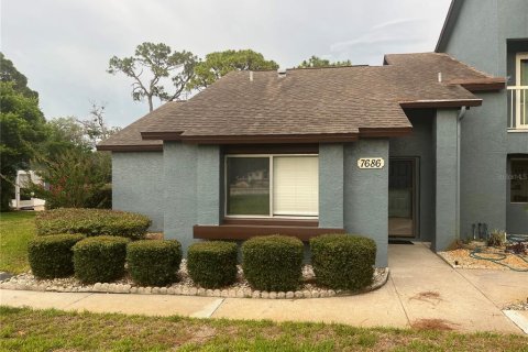 Condo à Weeki Wachee, Floride, 2 chambres № 2205480