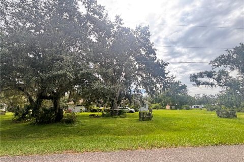 Villa ou maison à vendre à Arcadia, Floride: 3 chambres, 252.6 m2 № 1901015 - photo 1