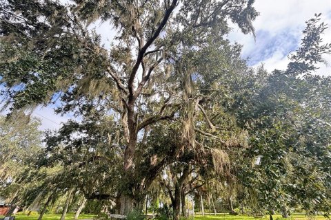 Villa ou maison à vendre à Arcadia, Floride: 3 chambres, 252.6 m2 № 1901015 - photo 19